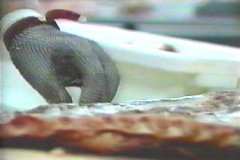 FOTOS (271) � IMAGEN FOTOGRAFIA